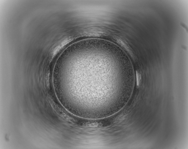X0000102510675200808151547