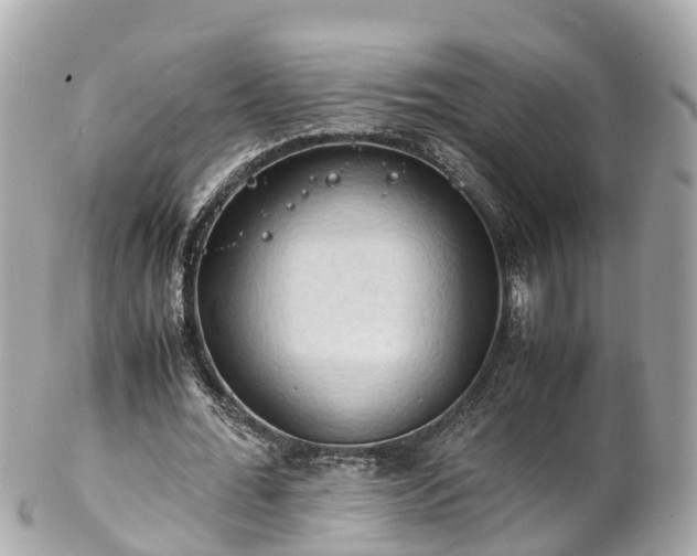 X0000102510676200808151547