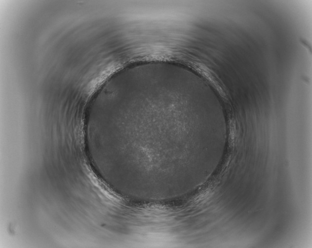 X0000102510677200808151547