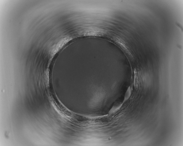 X0000102510678200808151547