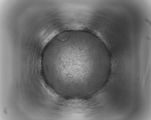 X0000102510679200808151547