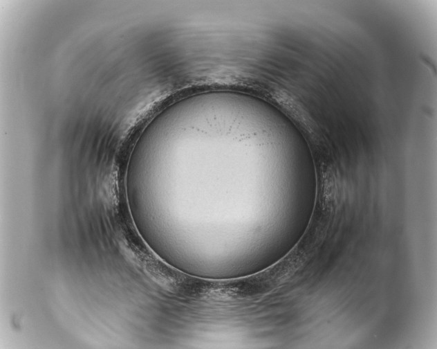 X0000102510680200808151547