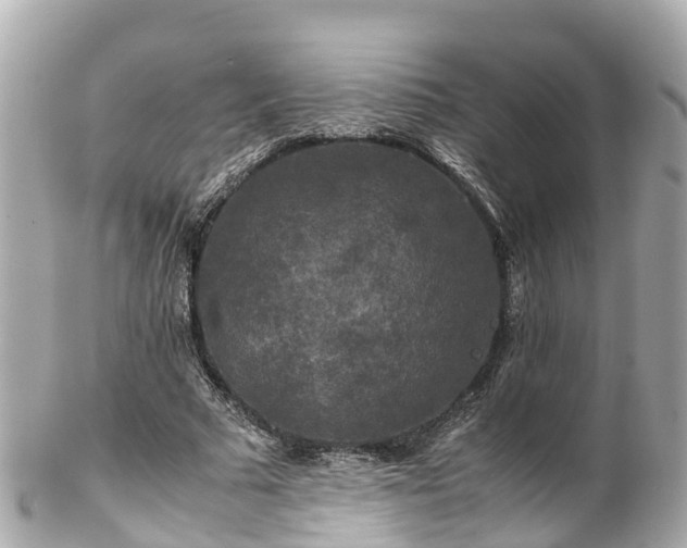 X0000102510681200808151547