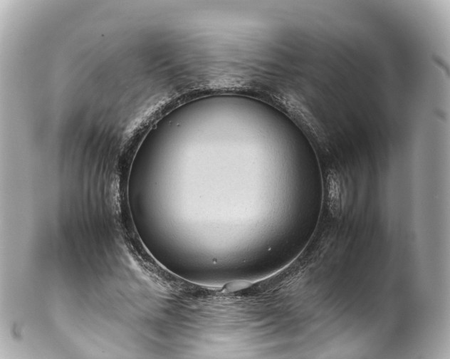 X0000102510684200808151547