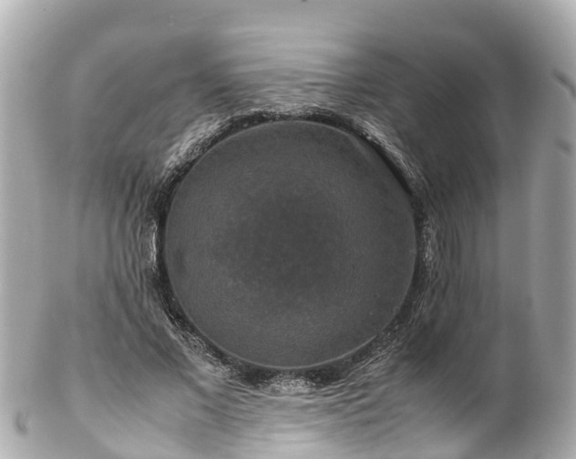 X0000102510685200808151547