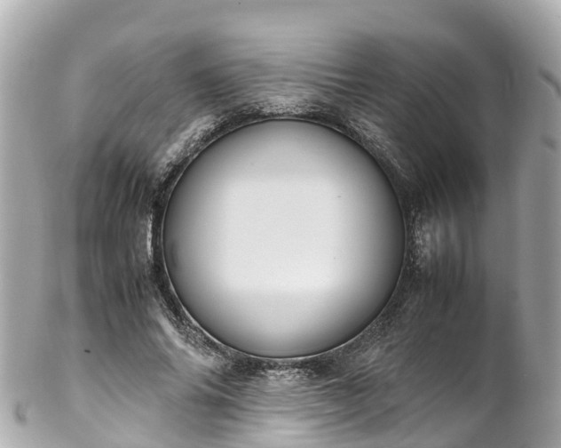 X0000102510686200808151547