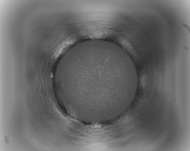 X0000102510687200808151547