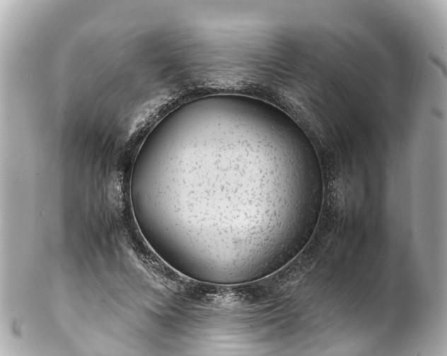 X0000102510688200808151547