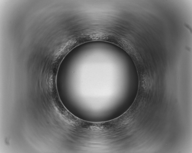 X0000102510690200808151547
