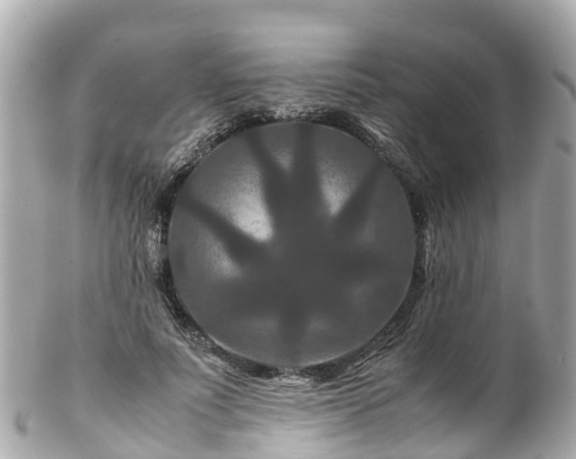 X0000102510691200808151547