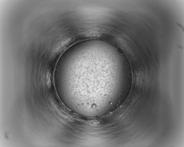 X0000102510692200808151547