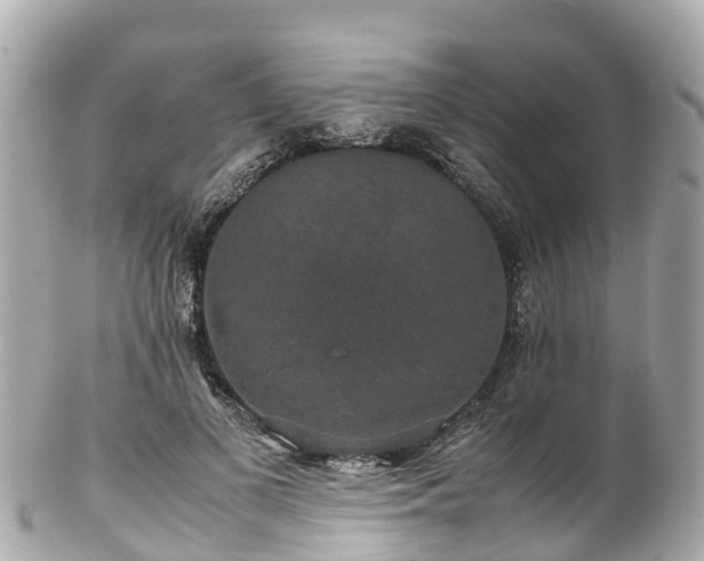 X0000102510693200808151547