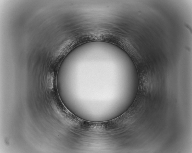 X0000102510694200808151547