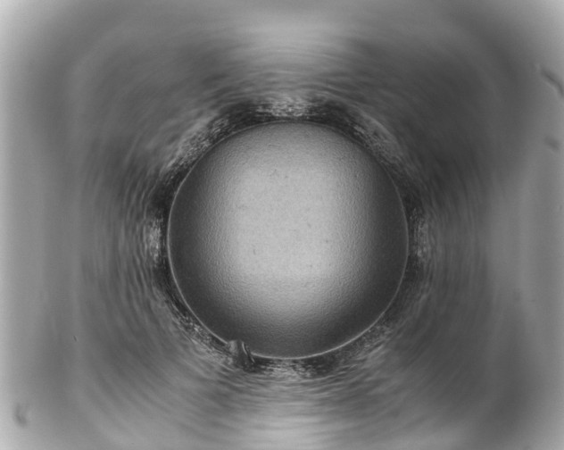 X0000102510697200808151547