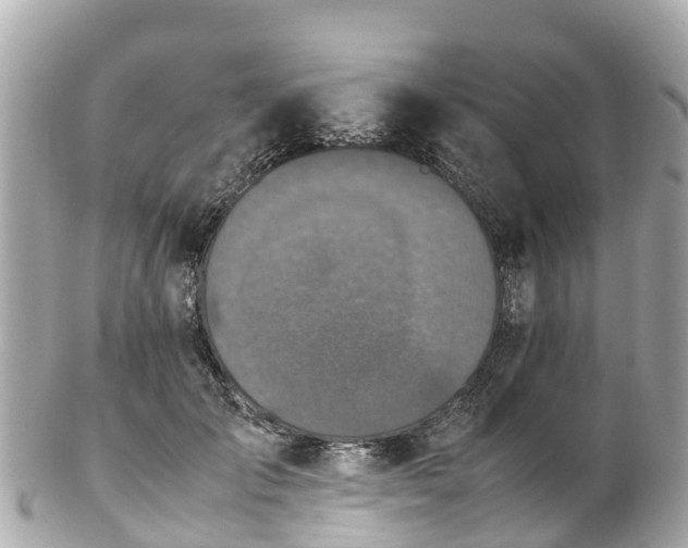 X0000102510701200808151547