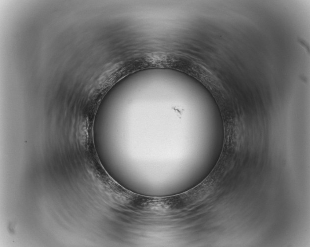 X0000102510702200808151547