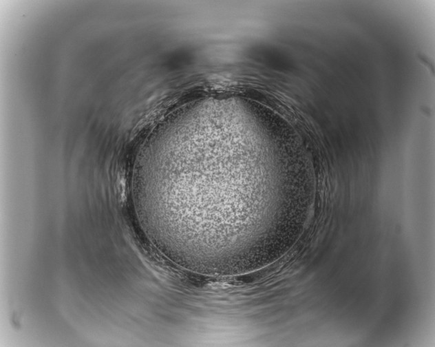 X0000102510703200808151547