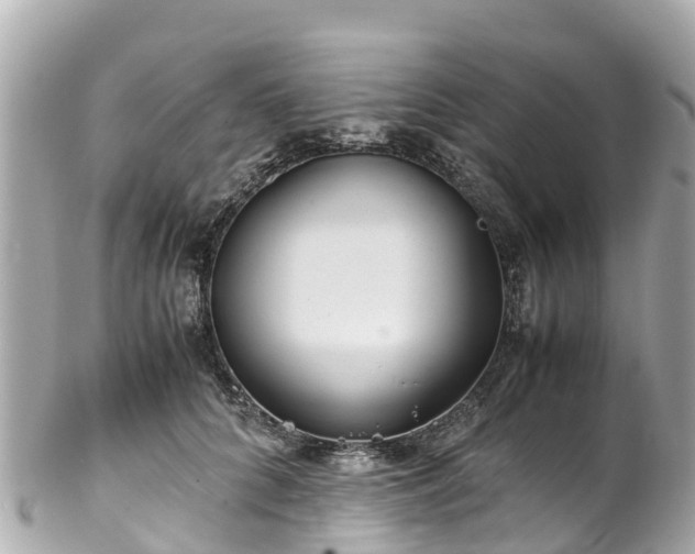 X0000102510704200808151547