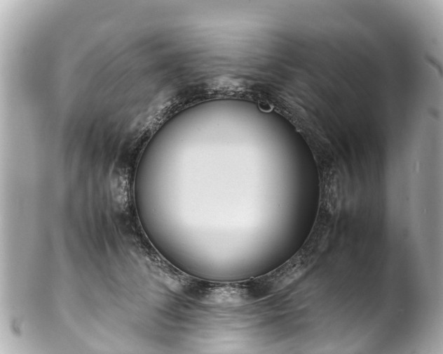 X0000102510708200808151547