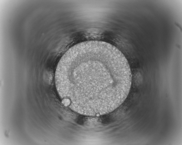 X0000102510709200808151547