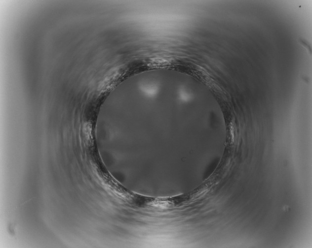 X0000102510711200808151547