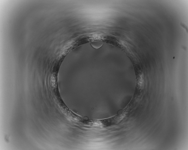 X0000102510715200808151547
