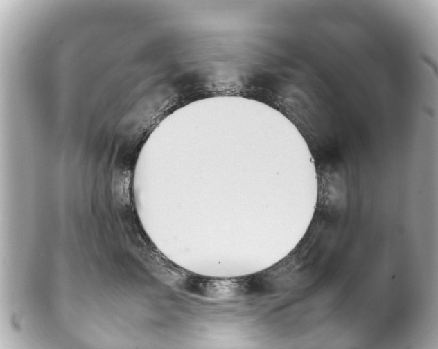 X0000102510717200808151546