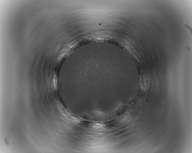 X0000102510718200808151546