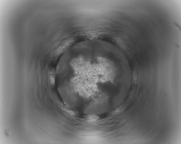 X0000102510719200808151546