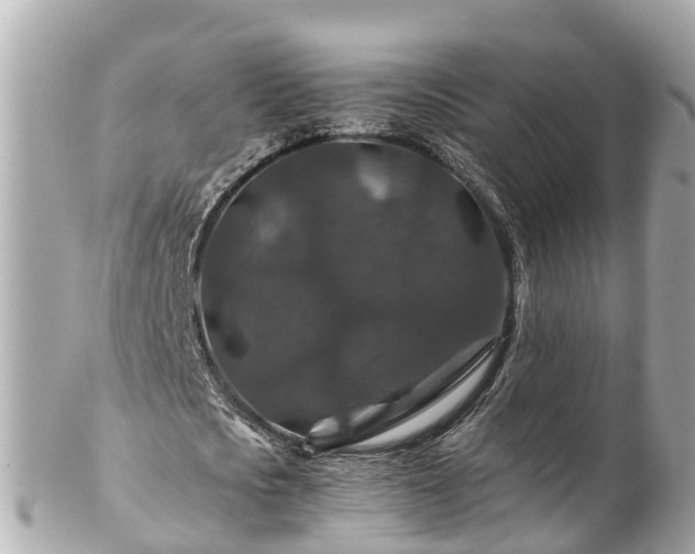 X0000102510721200808151546