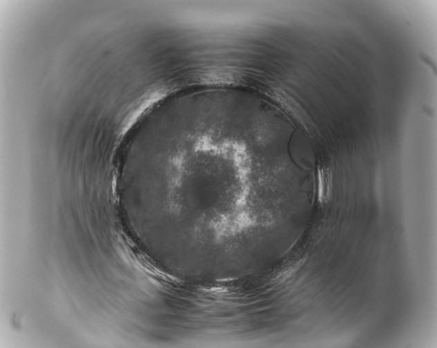 X0000102510723200808151546