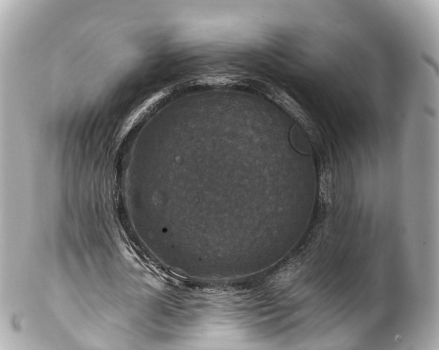 X0000102510724200808151546