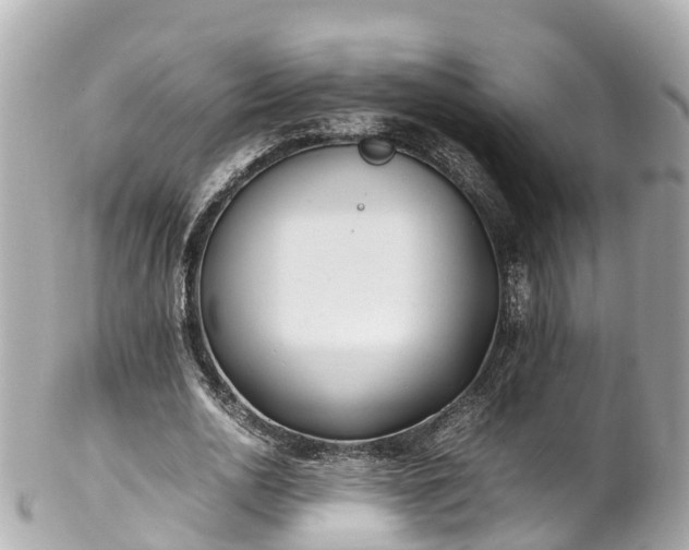 X0000102510726200808151546