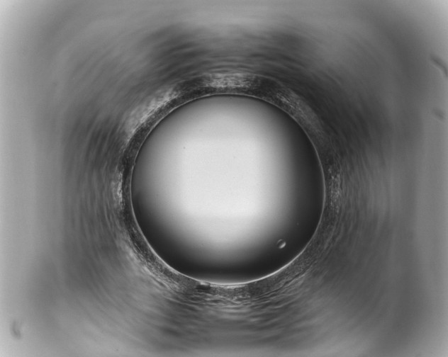 X0000102510727200808151546