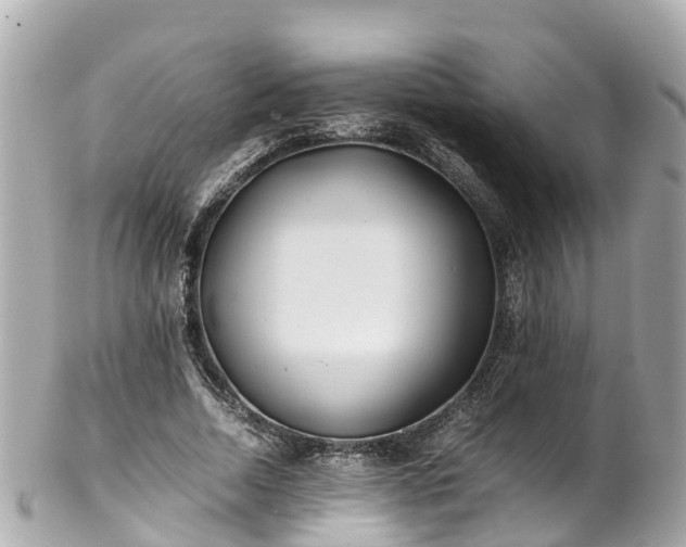 X0000102510730200808151546