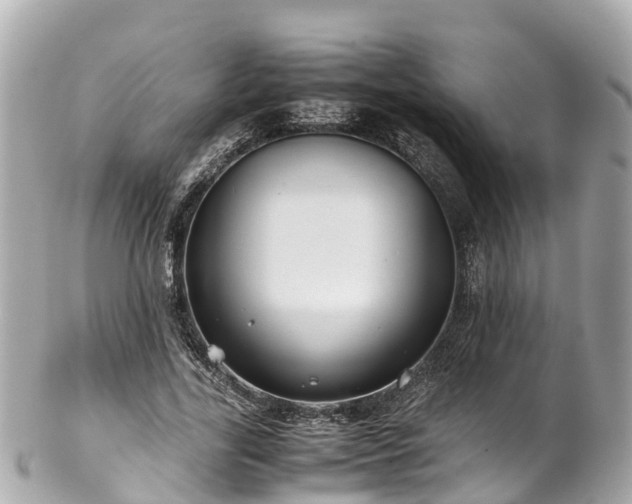 X0000102510731200808151546