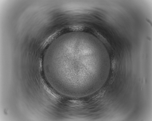 X0000102510733200808151546