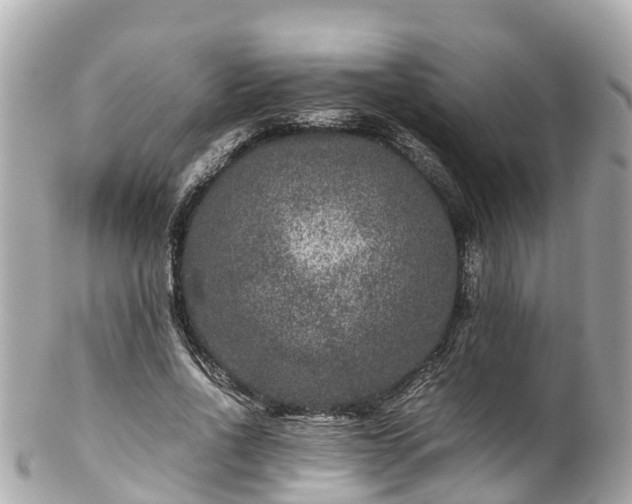 X0000102510734200808151546