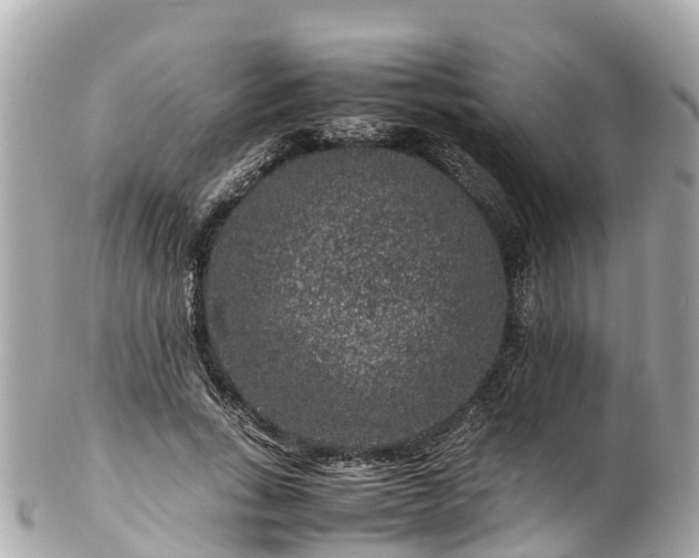 X0000102510735200808151546