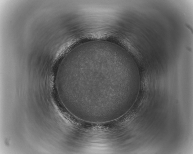 X0000102510736200808151546