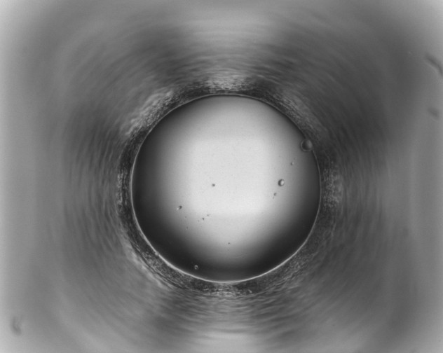 X0000102510738200808151546