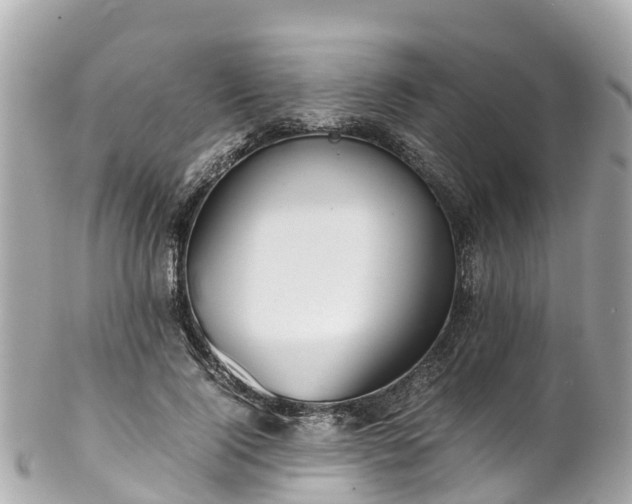 X0000102510740200808151546