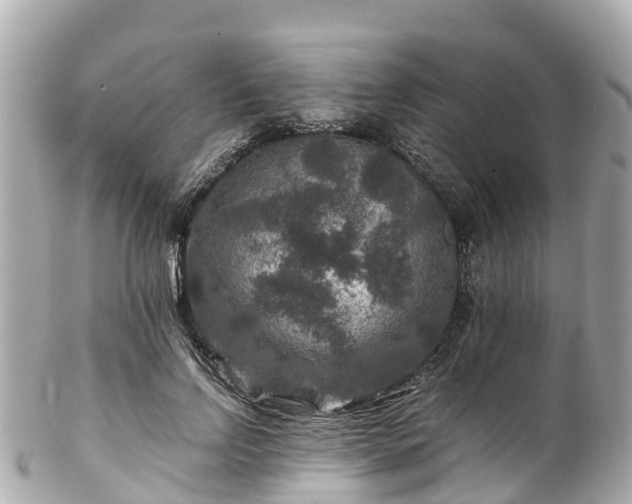 X0000102510742200808151546