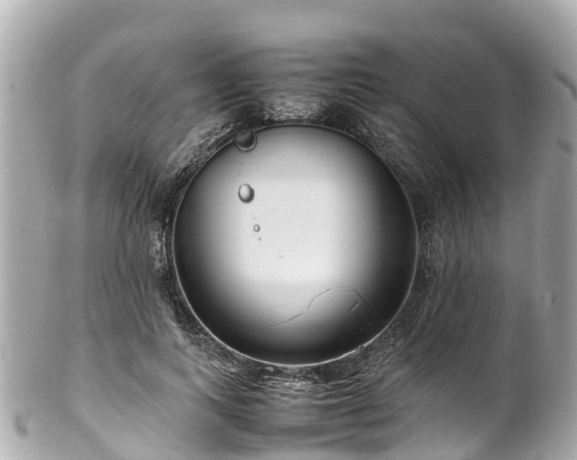 X0000102510743200808151546