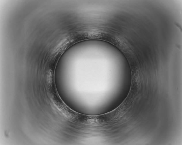 X0000102510744200808151546