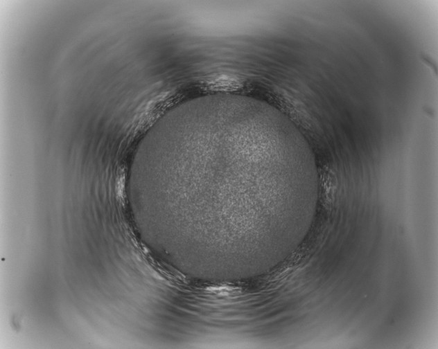 X0000102510745200808151546