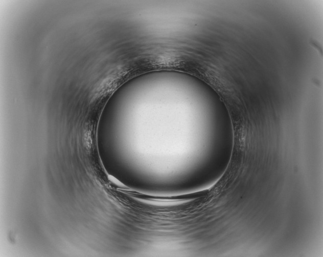 X0000102510746200808151546