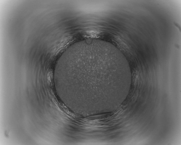X0000102510747200808151546