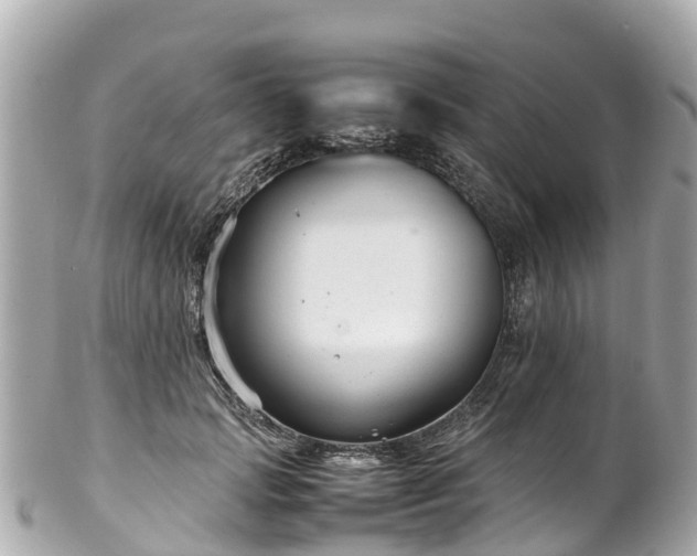 X0000102510749200808151546