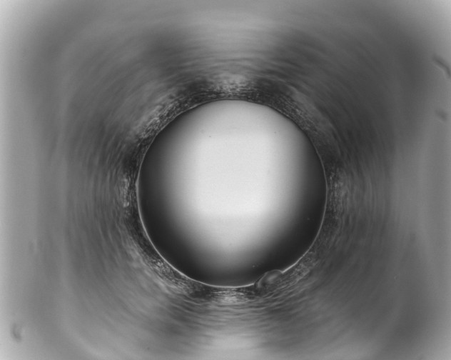 X0000102510750200808151546
